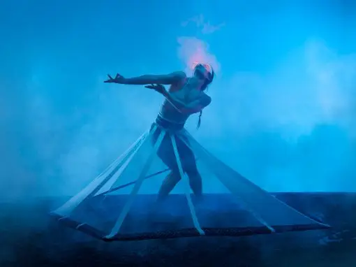 Sinha Danse Inc
