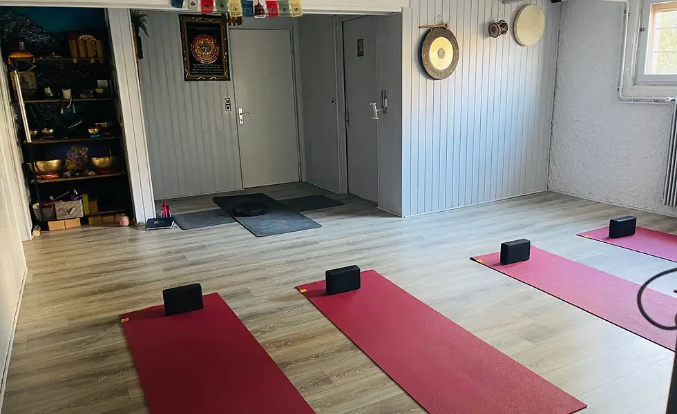 Yogaclass - Renatayoga68