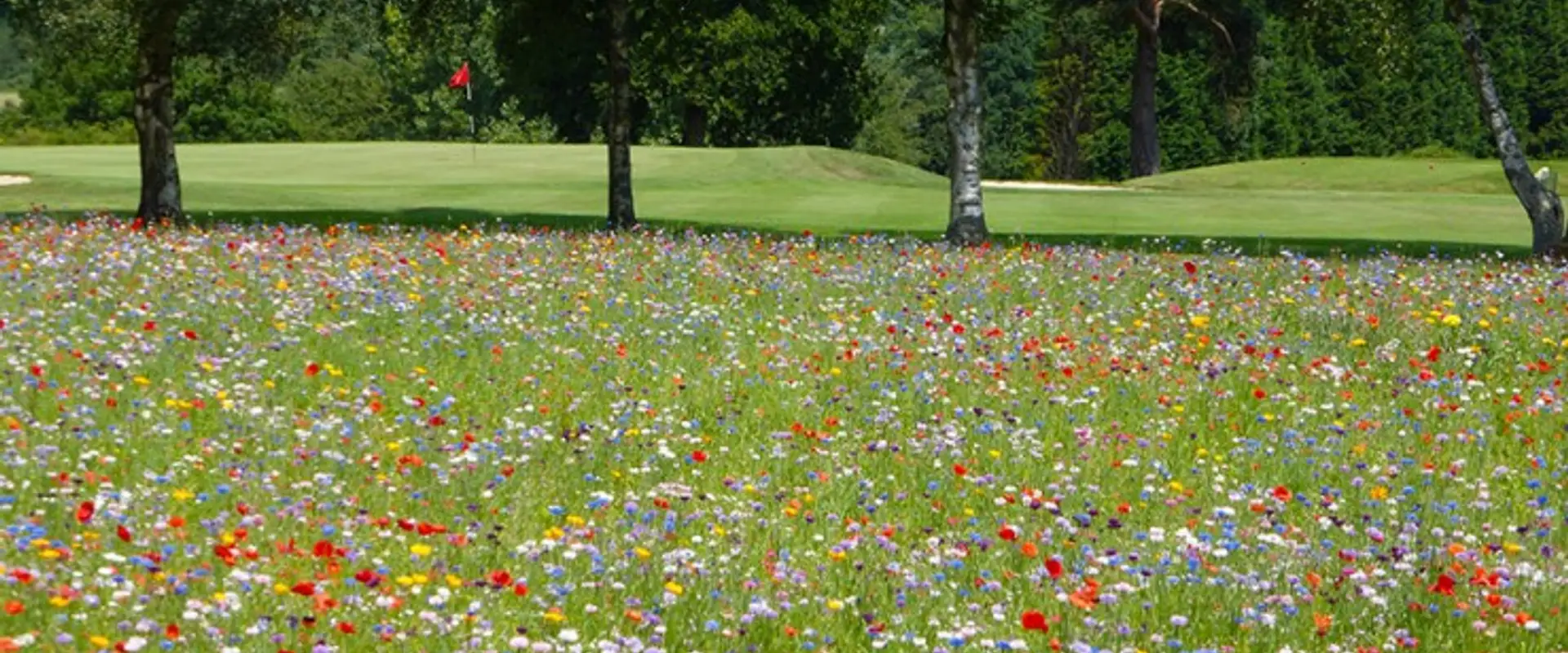 Lamberhurst Golf Club - Kent