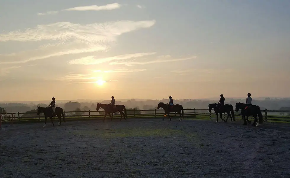 Bank House Equestrian