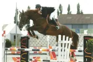 EQUIVALOR