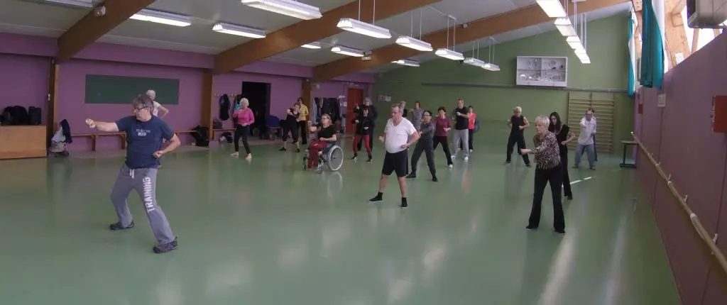 Cours Taiji Qigong & Krav Maga/Self Défense/Celtikan