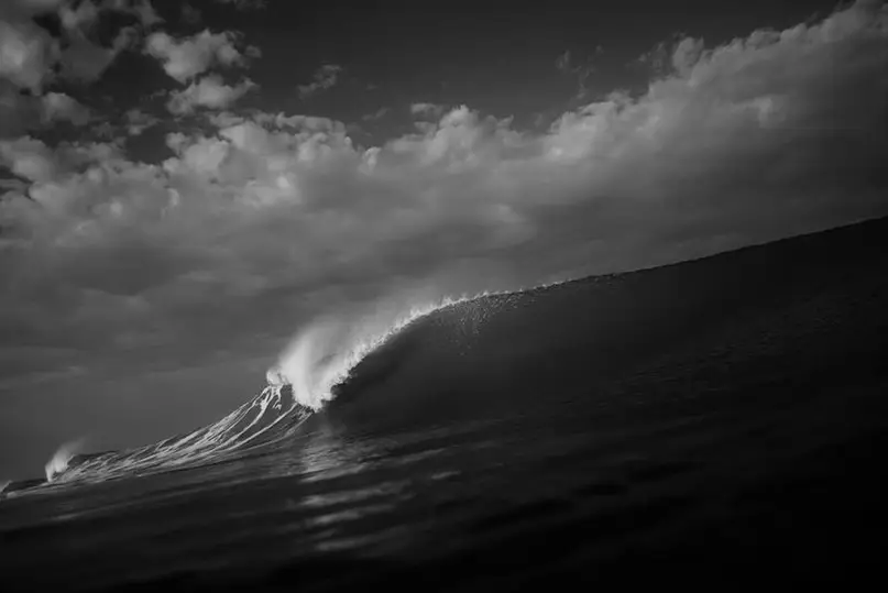 Surf School News Vague