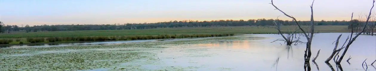 Australian Freshwater Fishing Charters