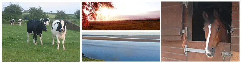 Highfield Farm