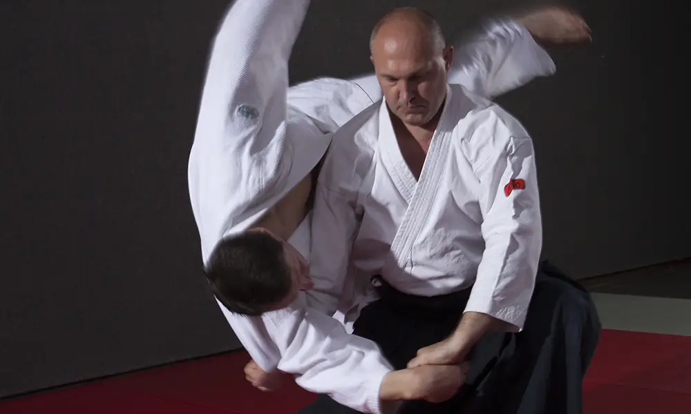 Aikido Bushido