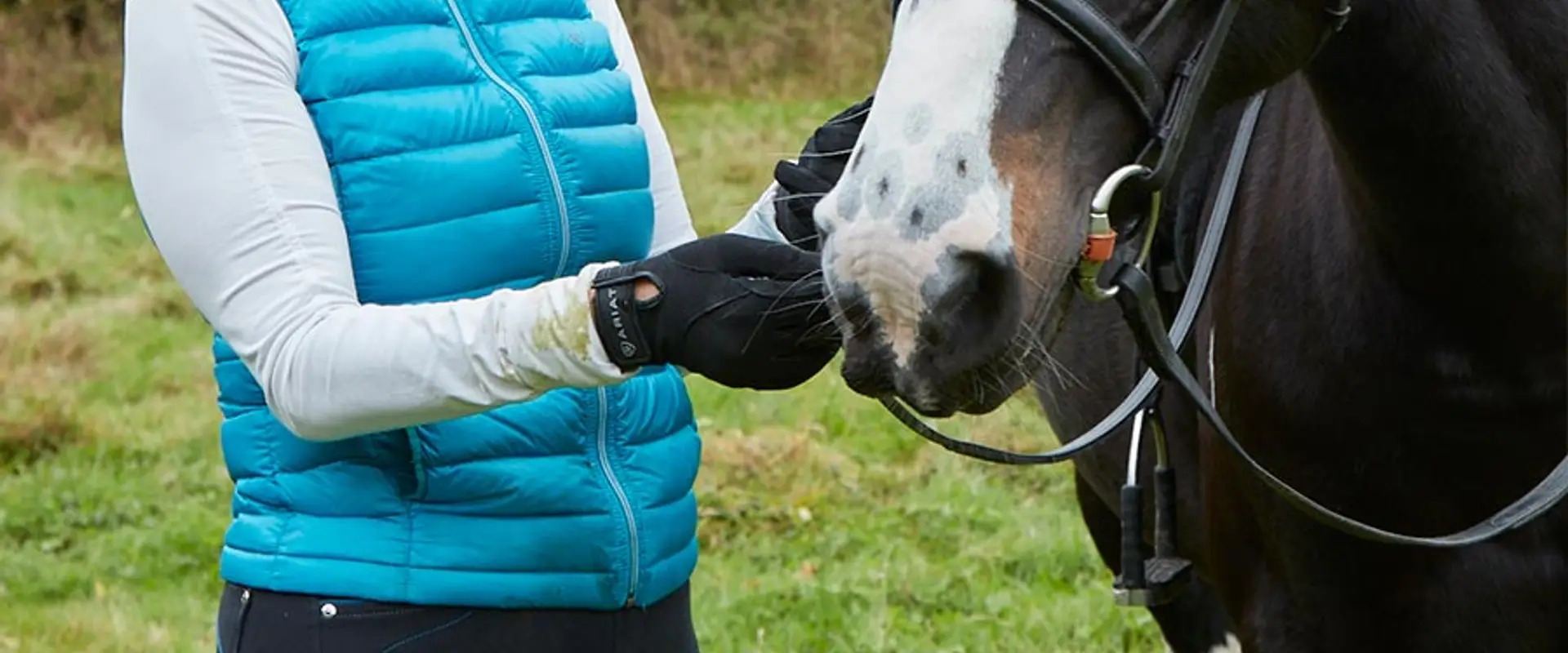 Confident Equestrians - Fi Dent Accredited Professional Riding Coach