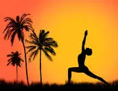 Yoga Destination Yoga