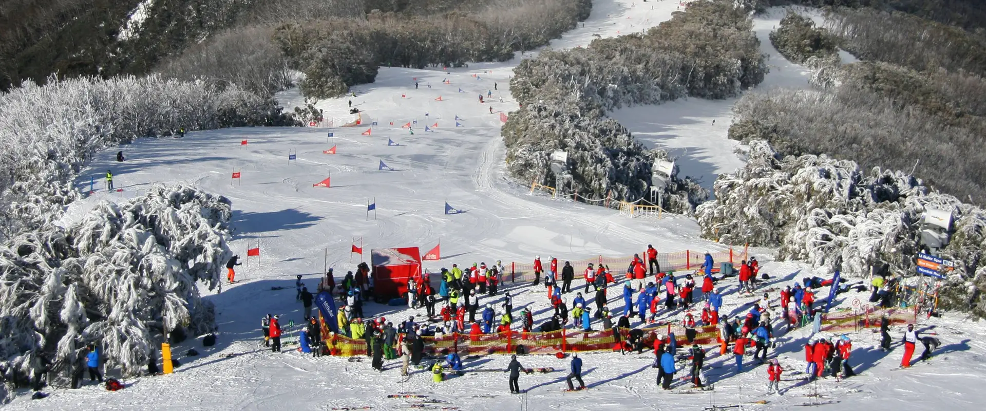 Mt. Buller Race Club