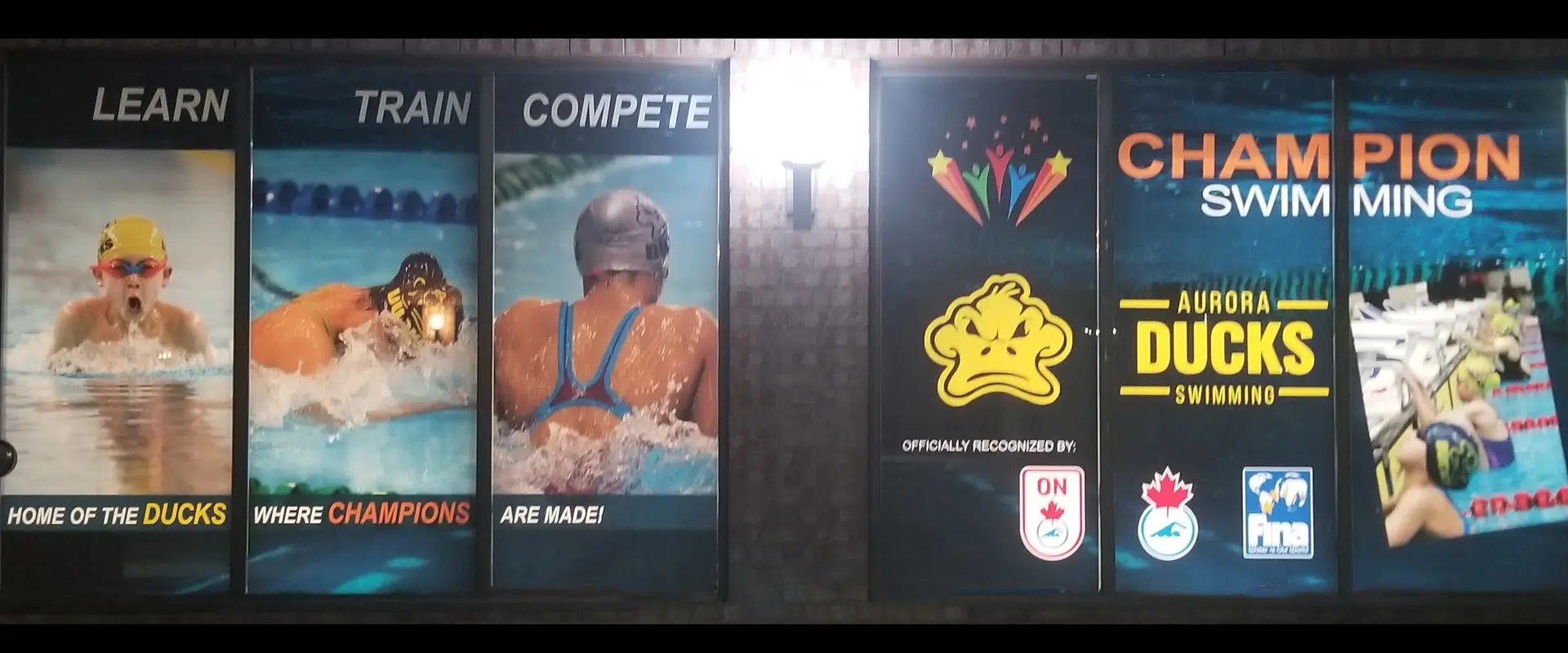 Champion Swimming Swimwear & Equipment Pro Shop
