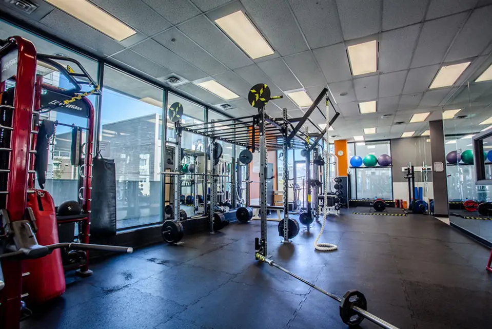 Executive Lifestyles Gym