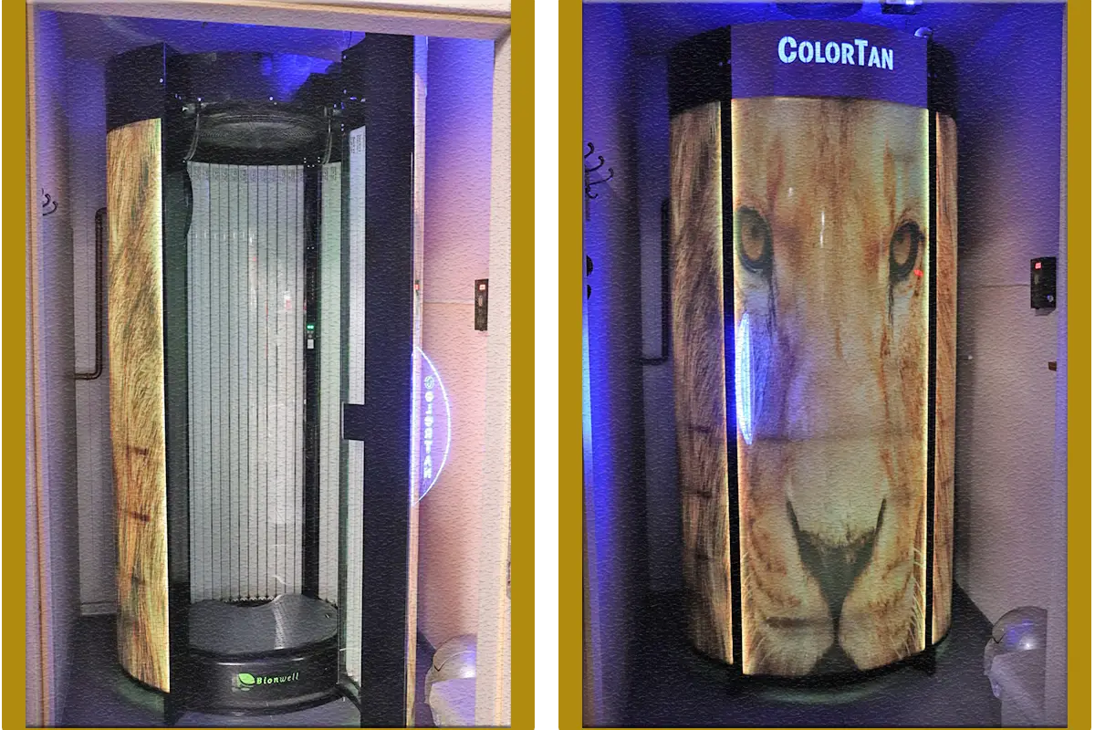 Crocuta Gym