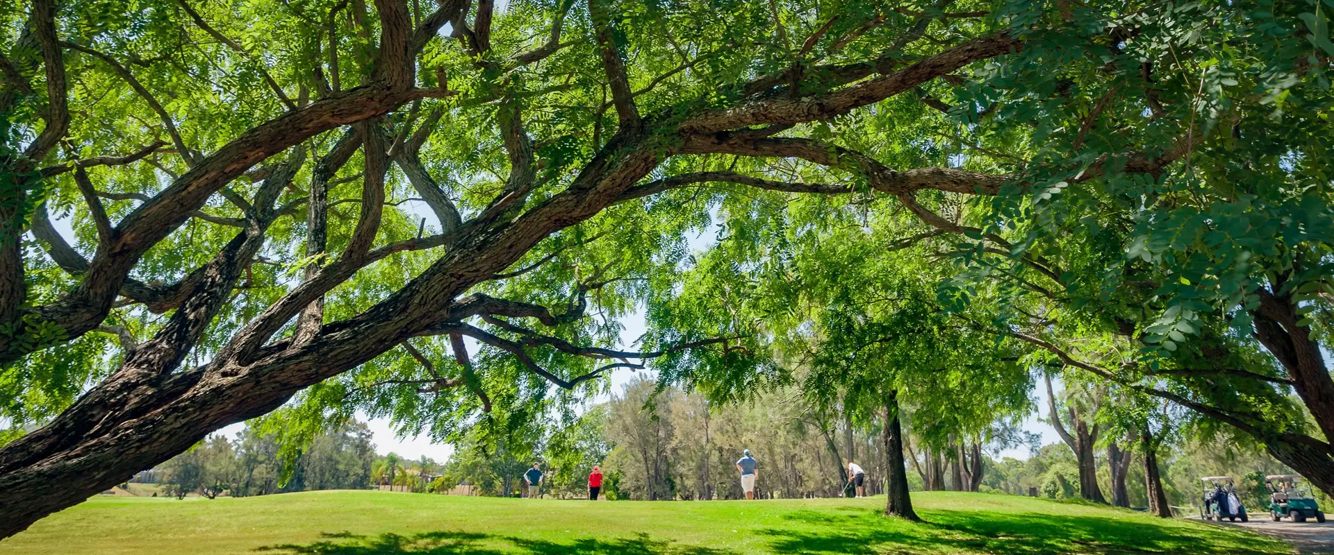 Windaroo Lakes Golf Club