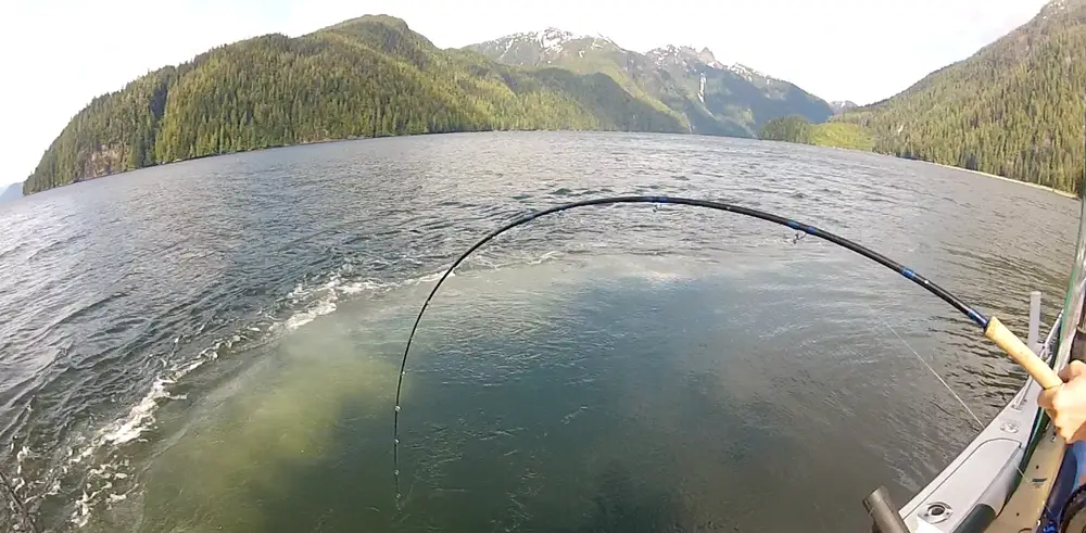 Campbell River Top Guides