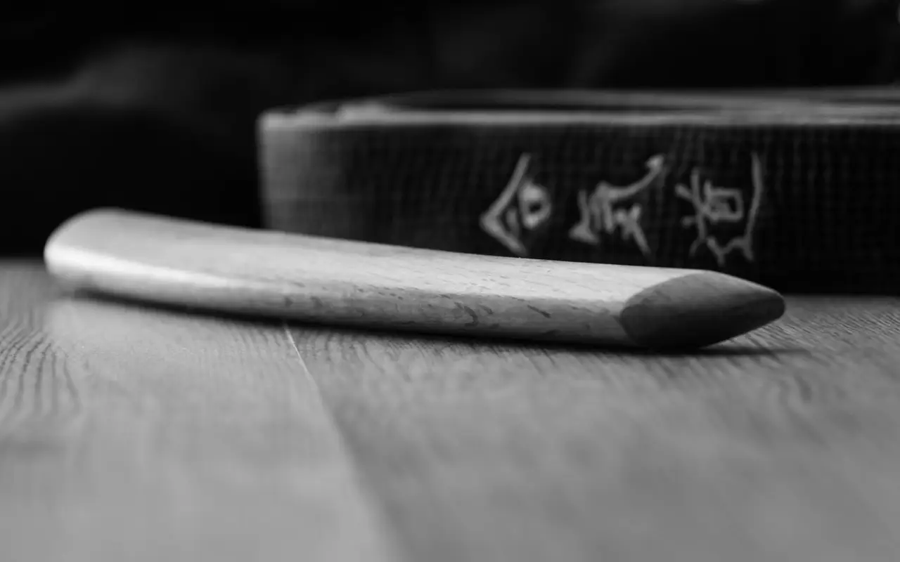 Aikikai De Lyon