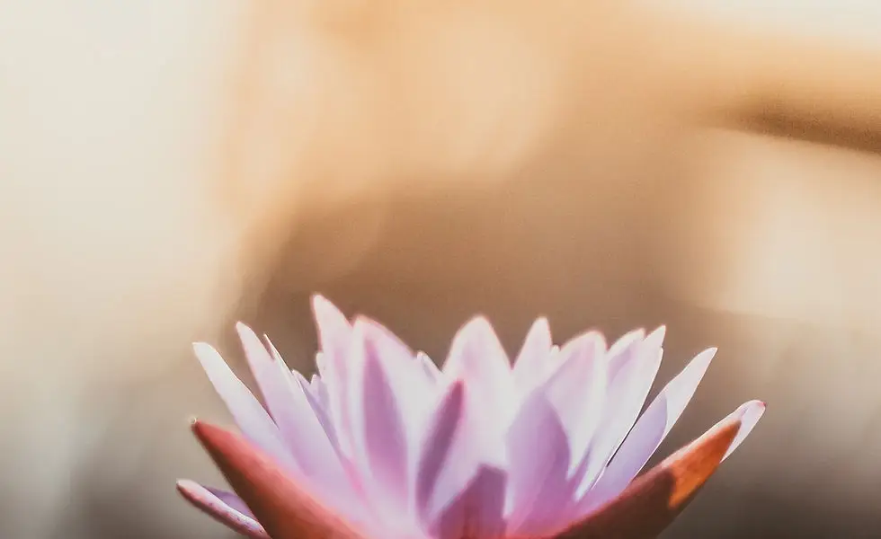 Blissful Yoga with Laurie