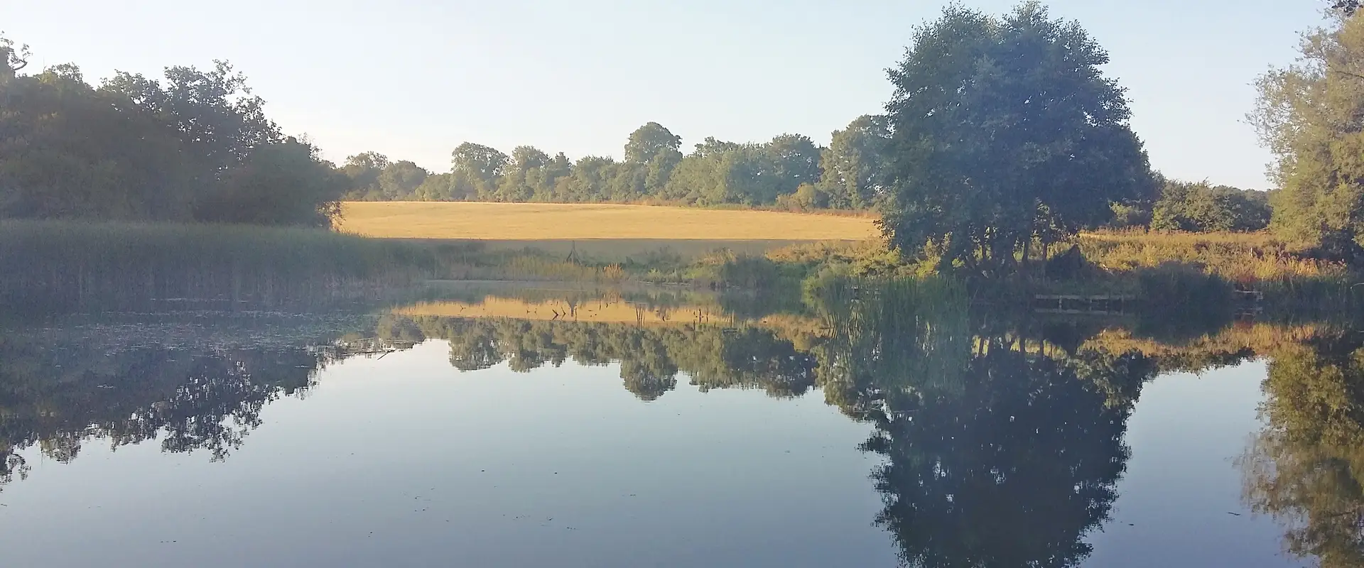 Astwell Mill Top Pond