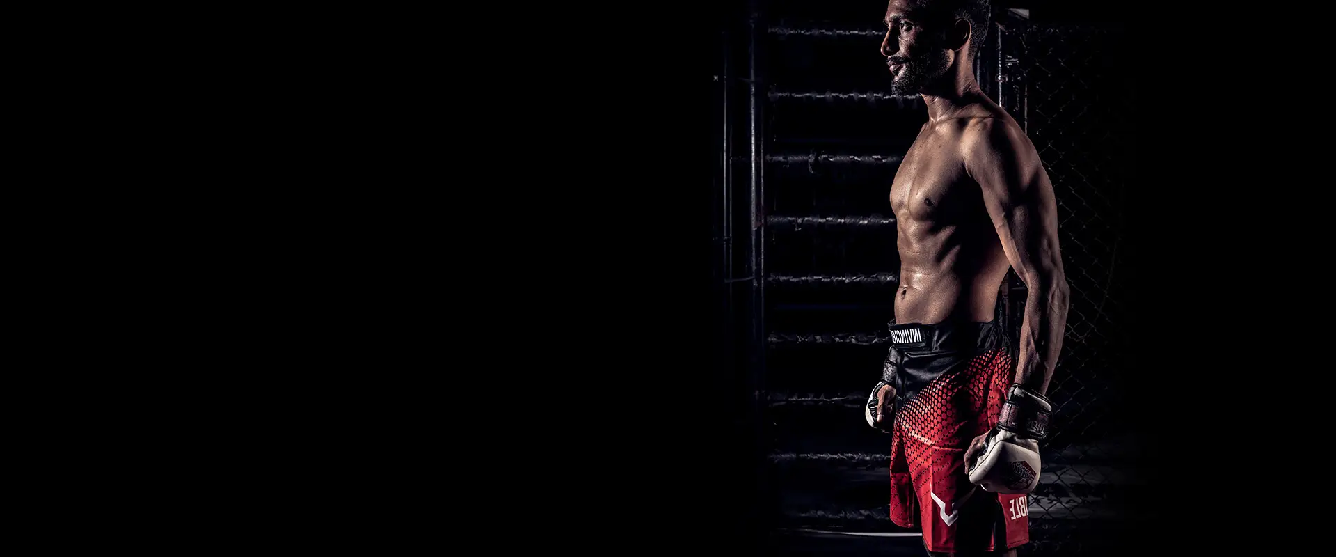 Fight Elite Mma