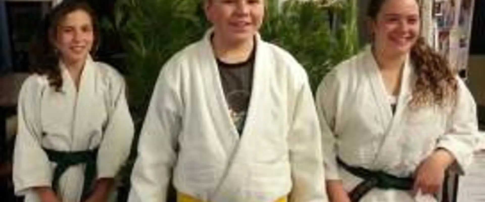 Ellerslie Aikido Club