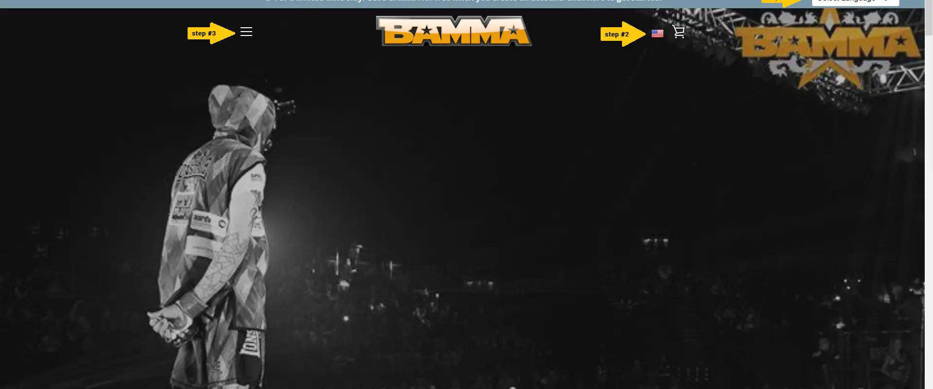 BAMMA
