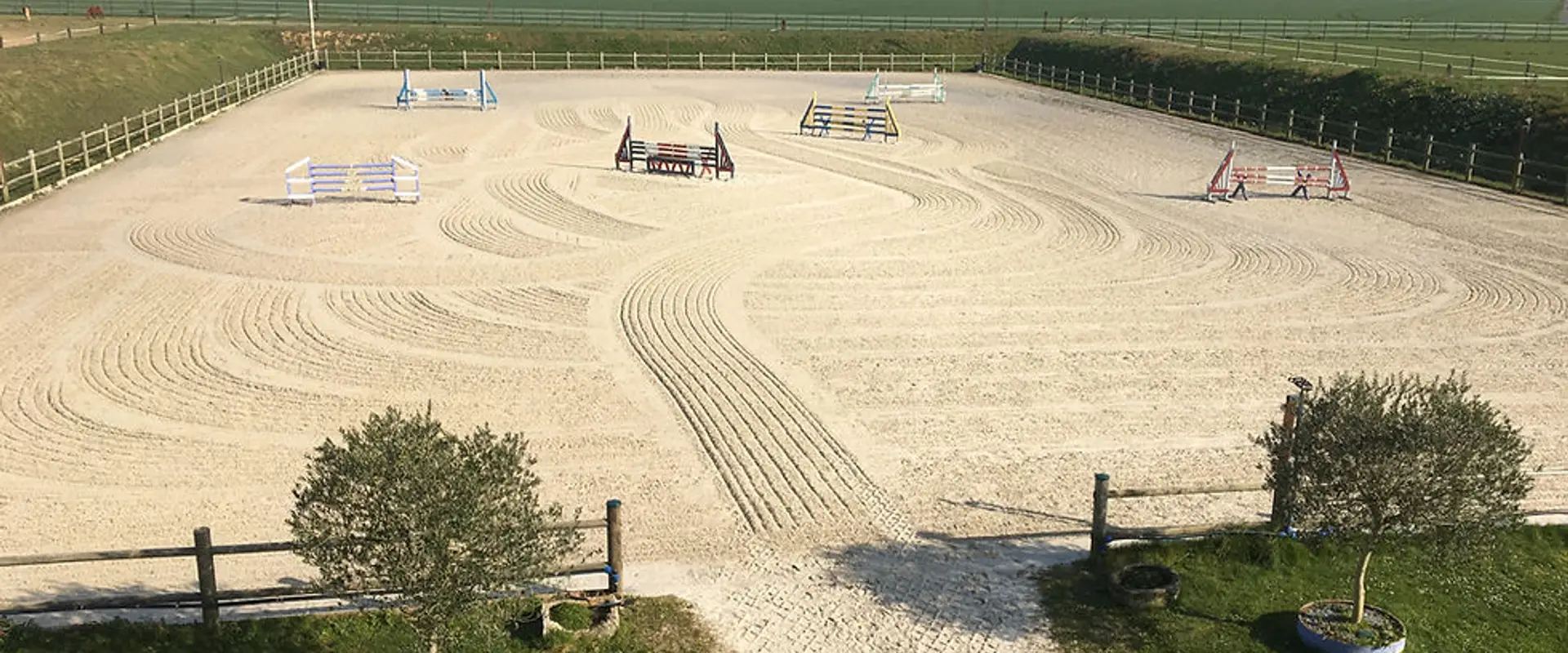 Stud Des Myosotis - Pension Horses