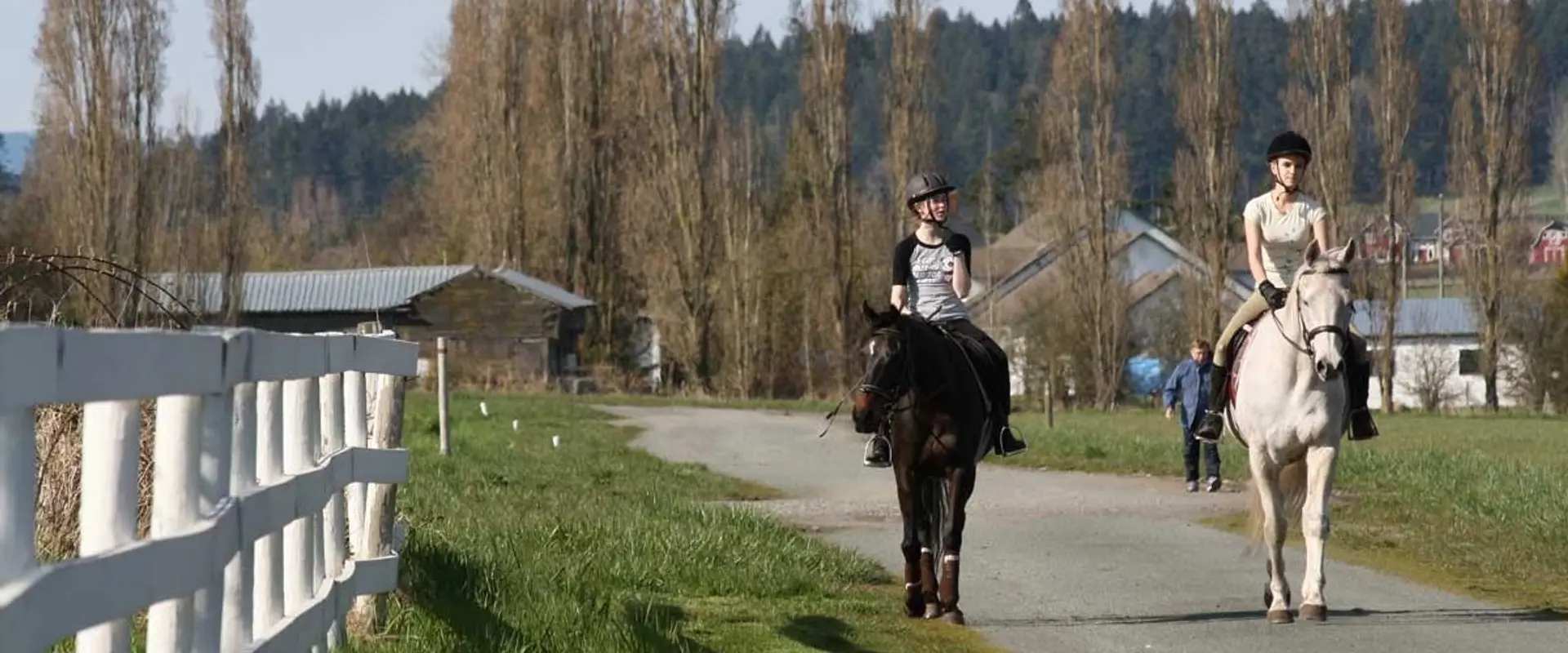 Valle Vista Stables