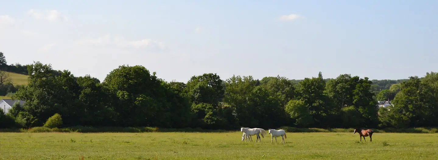 Ponderosa Equestrian Centre