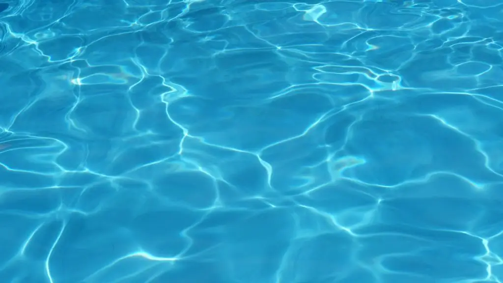 Cormorant Swim Club