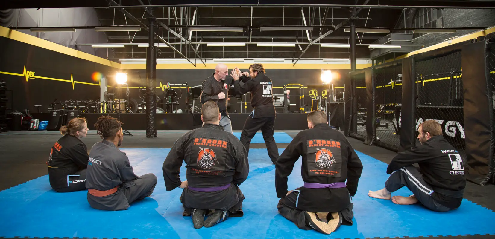 Combat Jujutsu