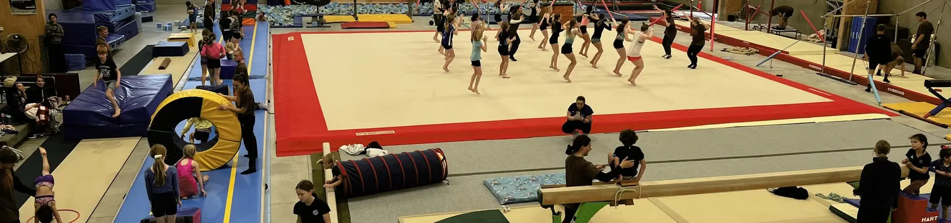 Gymnastics Waitara