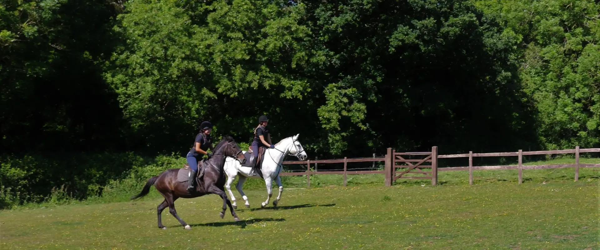 Hall Place Equestrian Centre