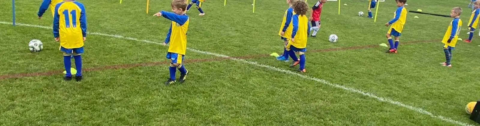 Brooklands Dragons JFC - Sale