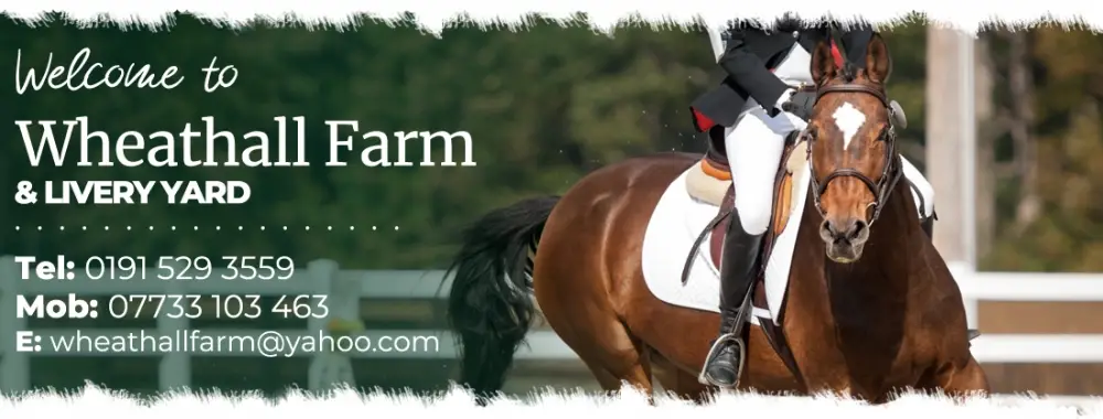 Wheathall Farm Livery Yard