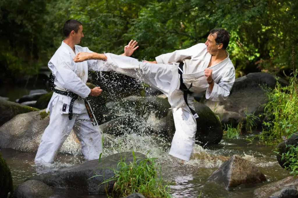 School Yonnaise Karate
