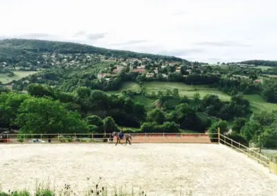 Les Ecuries de Pénélope - Pension Chevaux