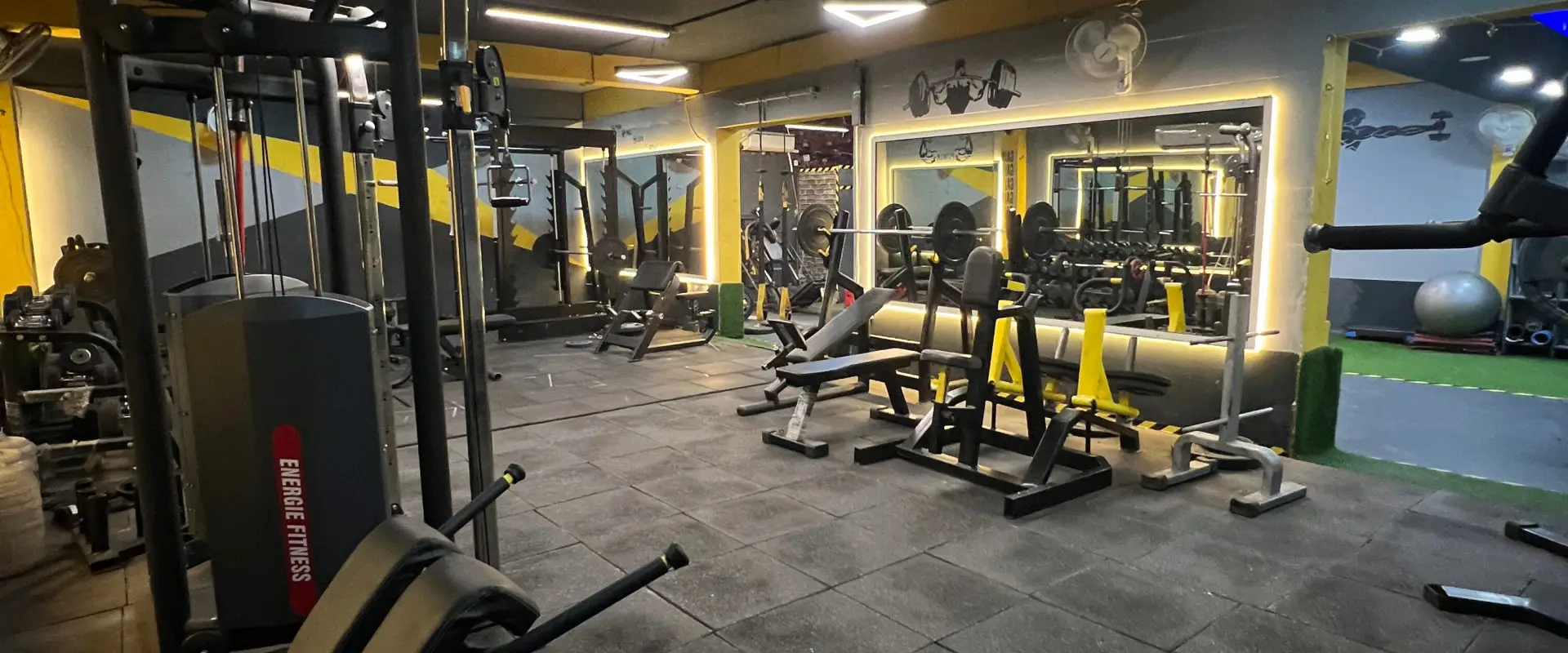 Bulls Gym