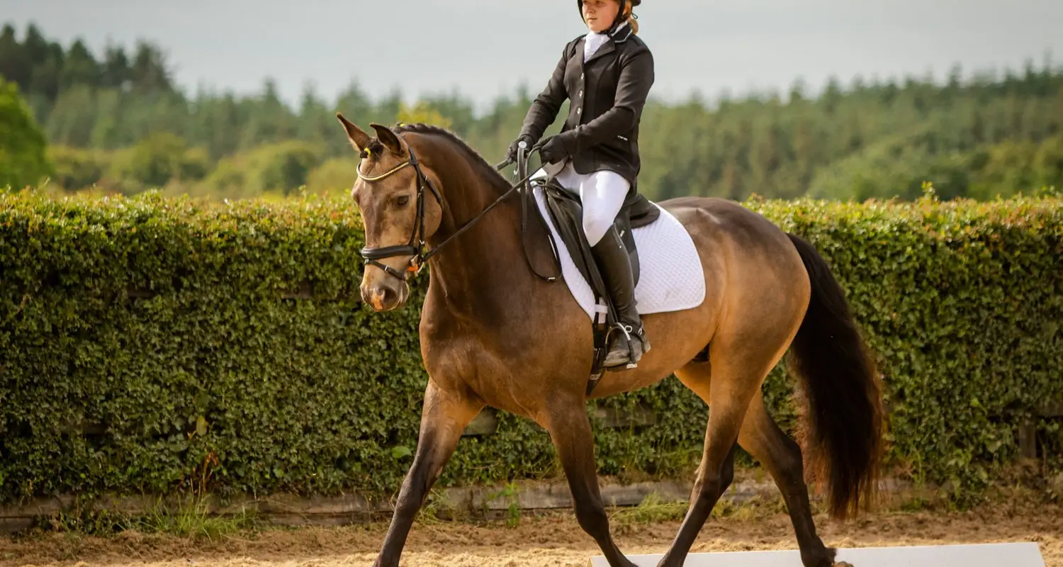 Annaharvey Equestrian Centre