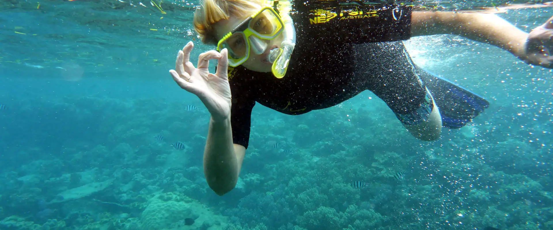 Skedaddle Cairns