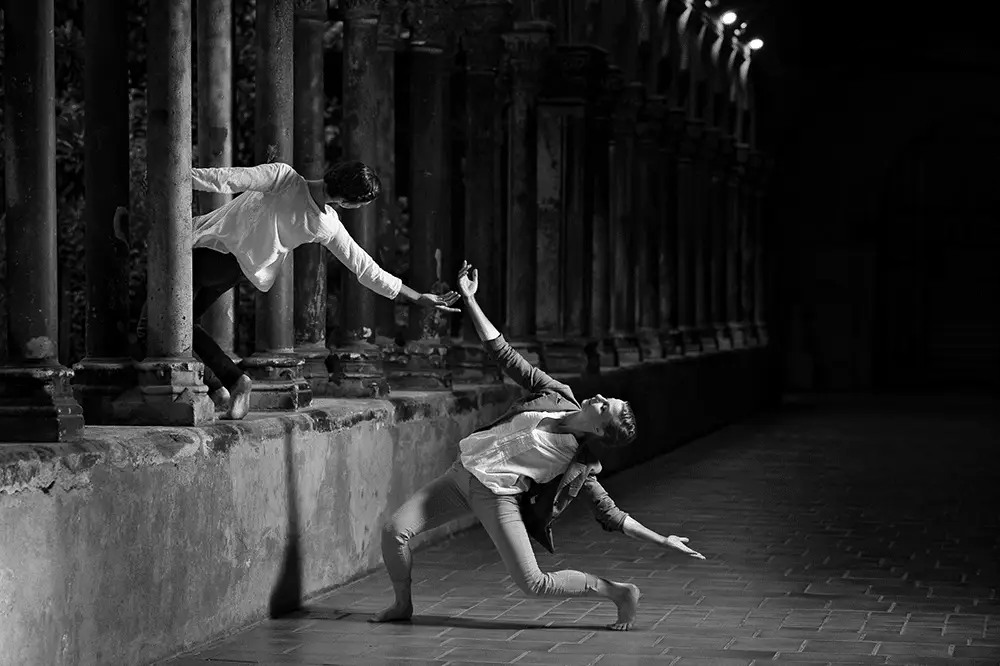 Art Swan Studio