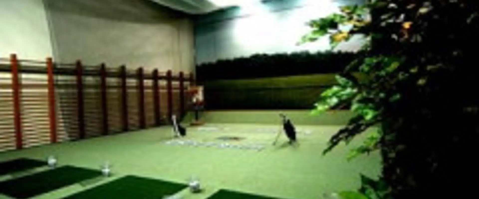 ŠŠK Birdie - Indoor Golf