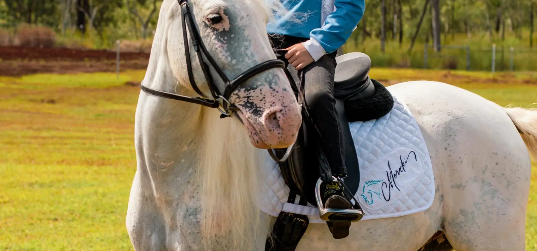 Meraki Equestrian Centre