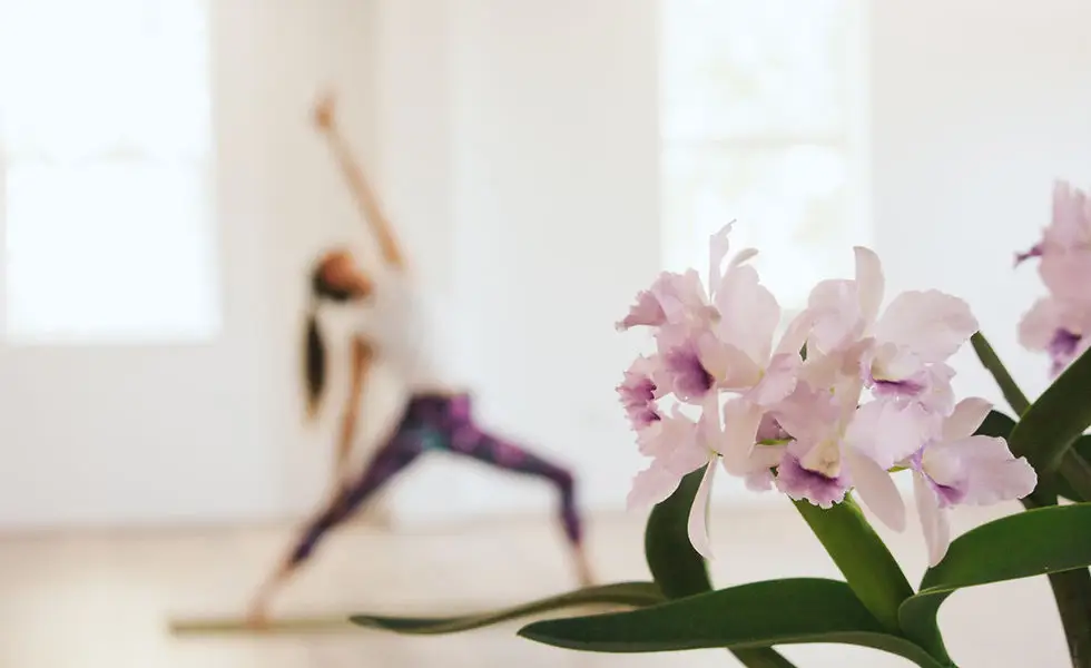 Nedlands Yoga