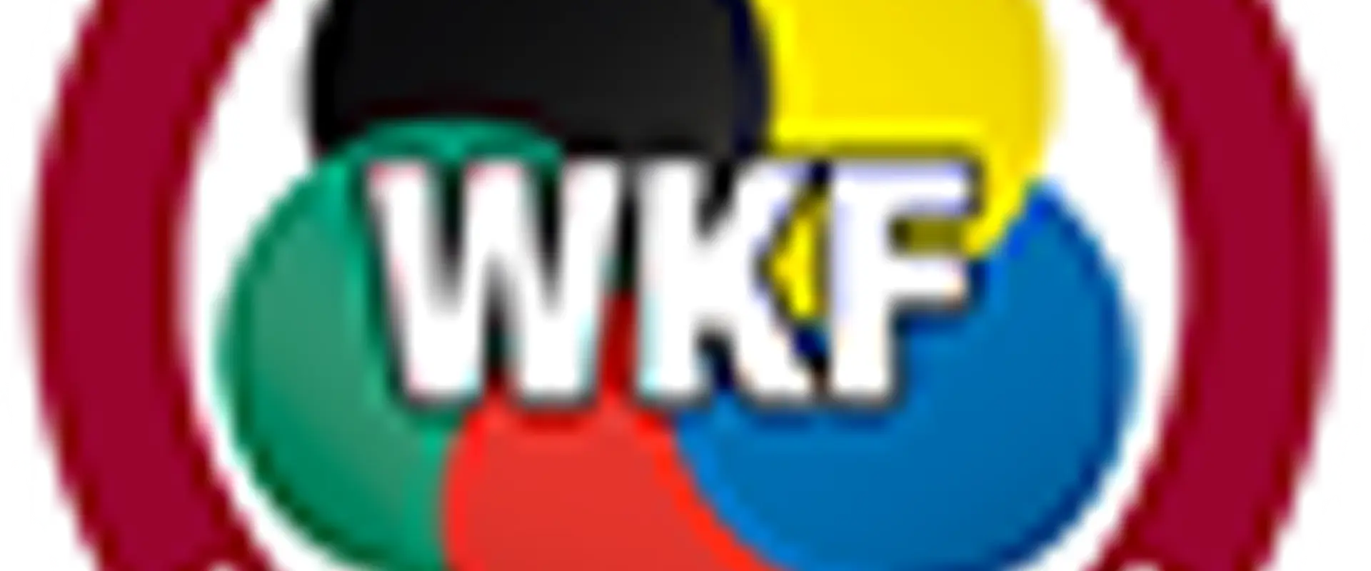 Wokingham and Bracknell Shotokan Karate Club