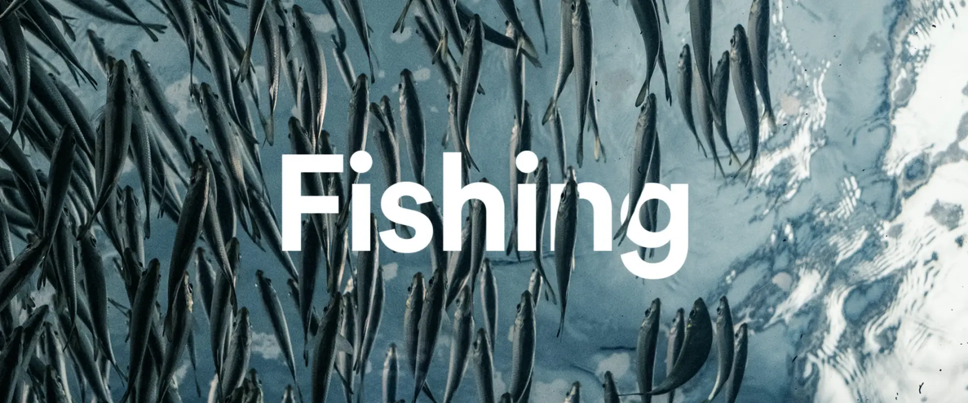 Bellarine Pirates Angling Club Inc