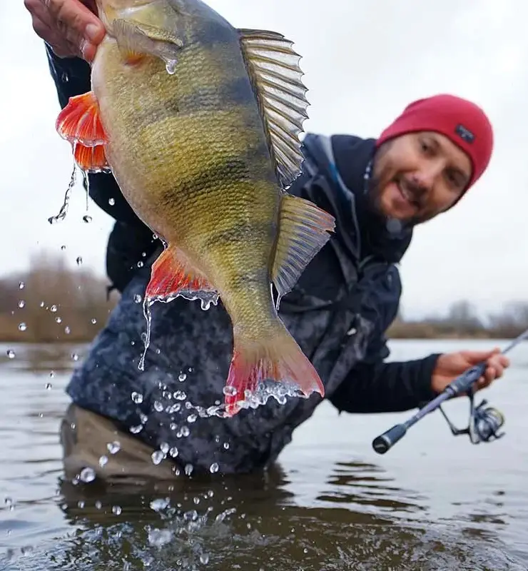 Mac Chasse Pêche Carton