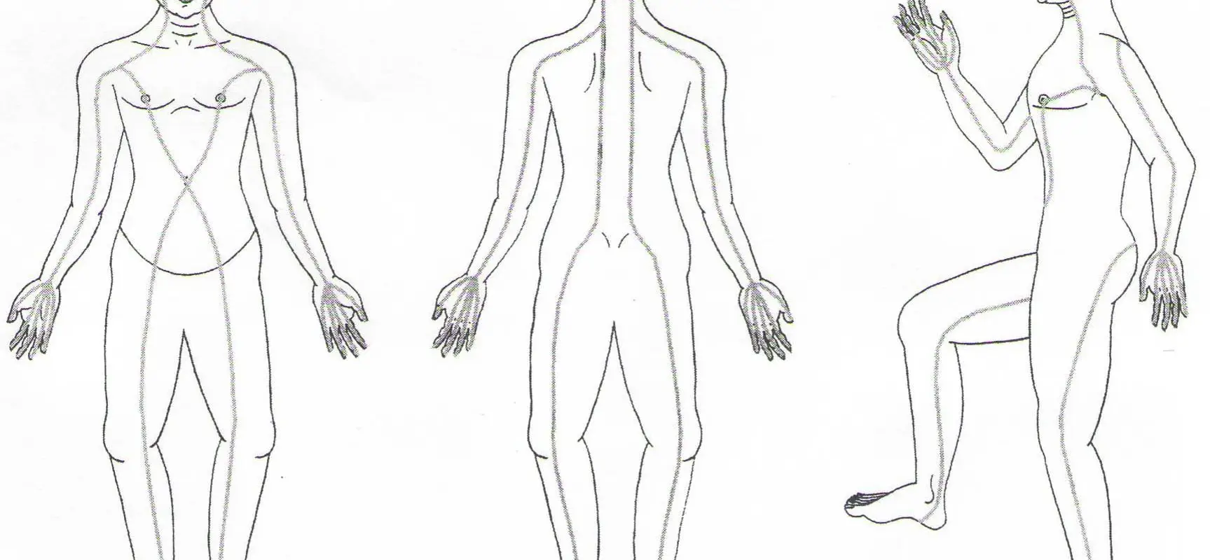 SenBodywork