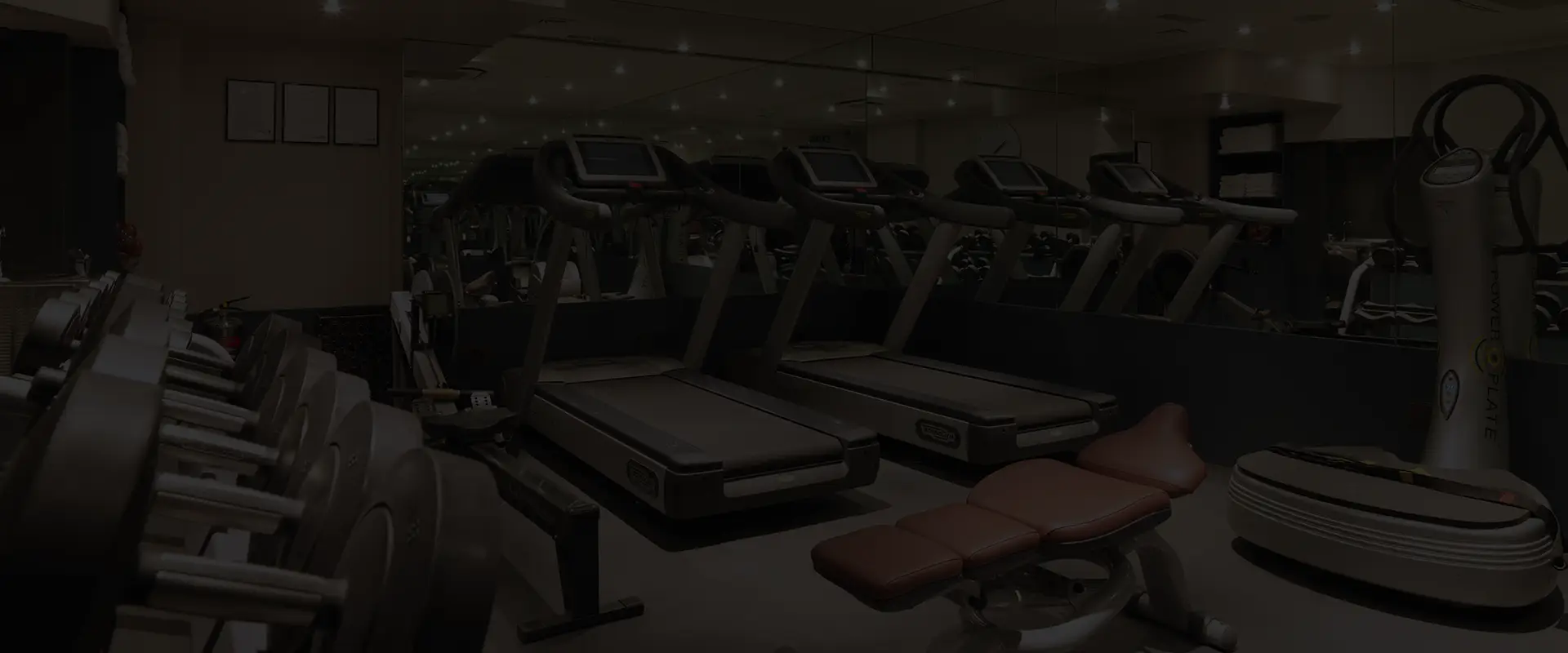 SB Wellness