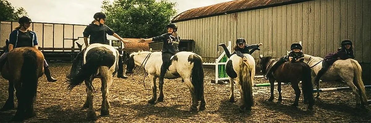 Fir Tree Farm Equestrian Centre