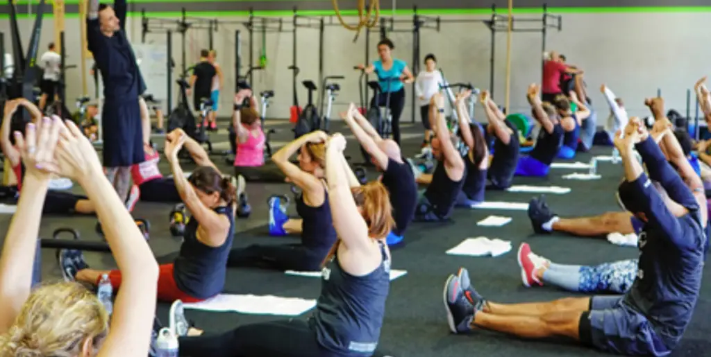 Insync Fitness & Training