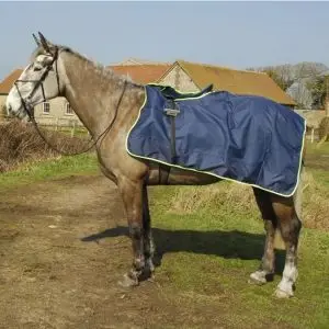 Horse Care